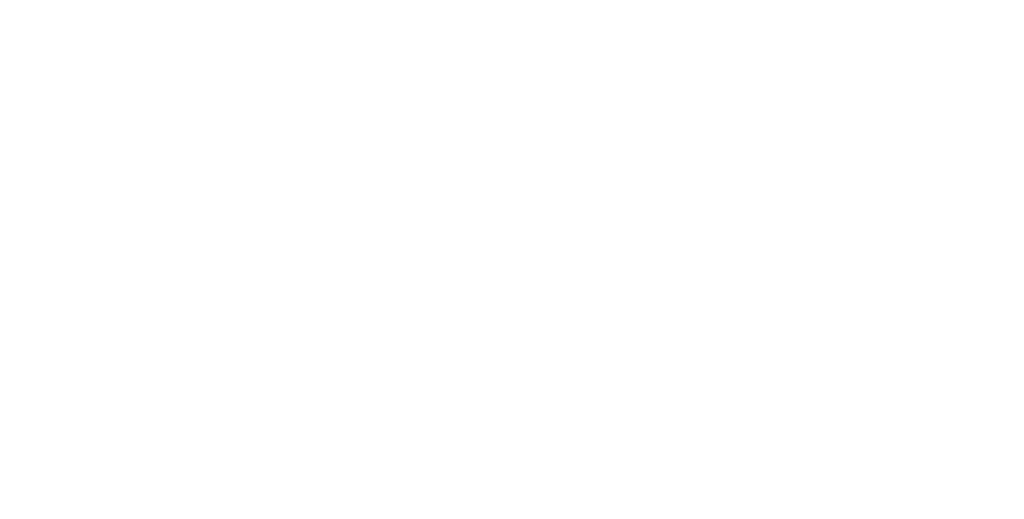 aig logo white.png
